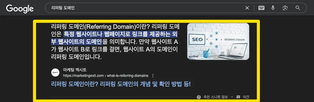 리퍼링 도메인 리치 스니펫