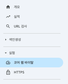 코어 웹 바이탈, core web vital